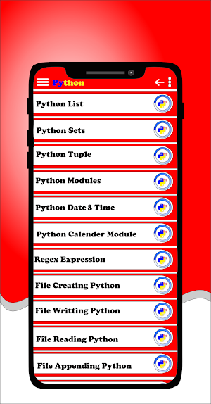 Python Examples Code Screenshot 2