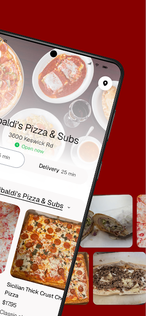 Ribaldi's Pizza & Subs Screenshot 1