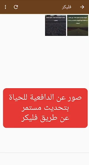 دافعية يومية Screenshot 1