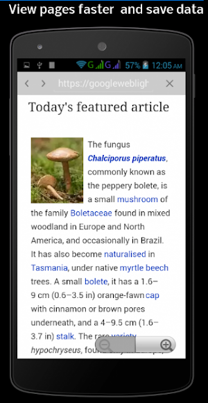 Weblight, Open Web Pages Faster Screenshot 2