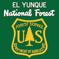 El Yunque National Forest