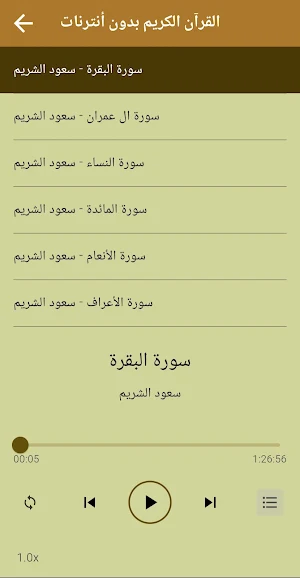 قرآن كامل سعود الشريم بدون نت Screenshot 3