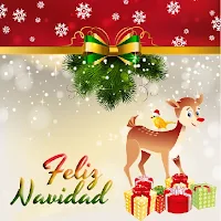 Frases de Feliz Navidad