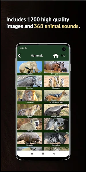 Golden Safari Guide Screenshot 2