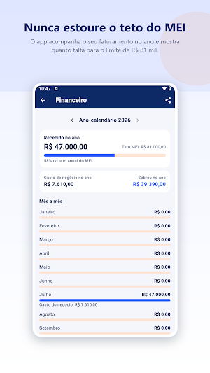 MEI no Bolso Screenshot 3