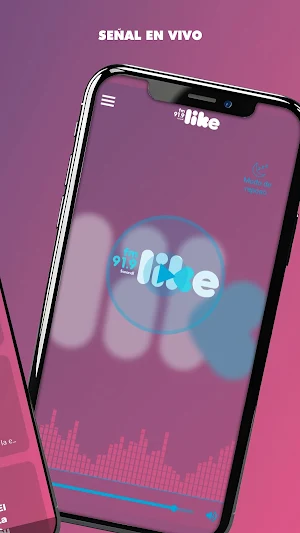 Radio FM Like 91.9 Screenshot 1
