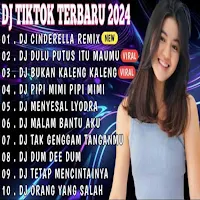 DJ Cinderella Viral Offline