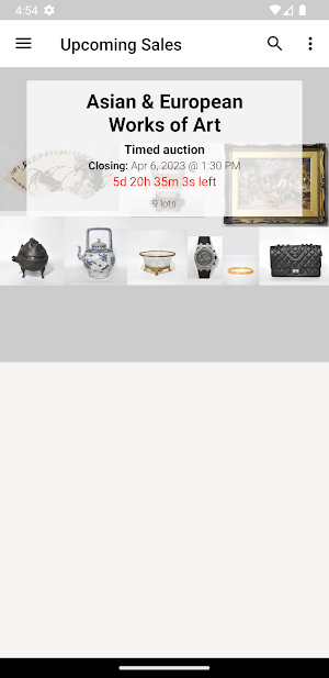 Scieppan Auctions and Gallery Screenshot 0