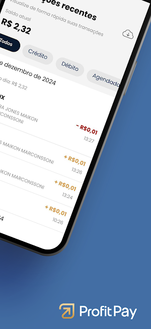 ProfitPay Screenshot 2
