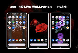Live wallpaper-Video wallpaper Screenshot 3