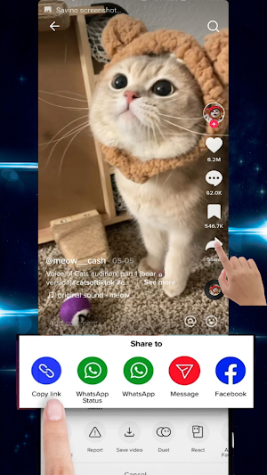 Download from TikTok HD No Wat Screenshot 3