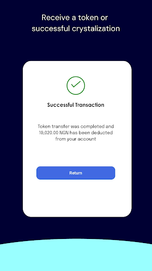 Paywithtoken Screenshot 3