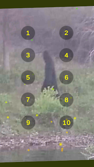 Bigfoot Sound Recordings Screenshot 0