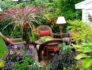 Decorative Plants Garden Screenshot 2
