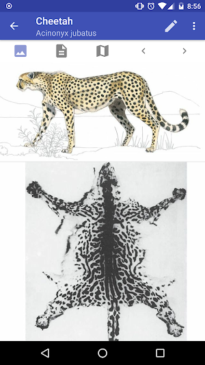 Mammals of the Southern African Subregion Screenshot 2