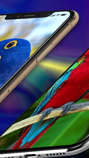 Macaw Parrot Wallpaper Screenshot 3