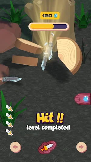 Knife Hit Master Screenshot 3