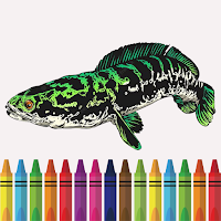Snakehead Fish Coloring Book