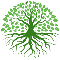 Herbario Terra Energy