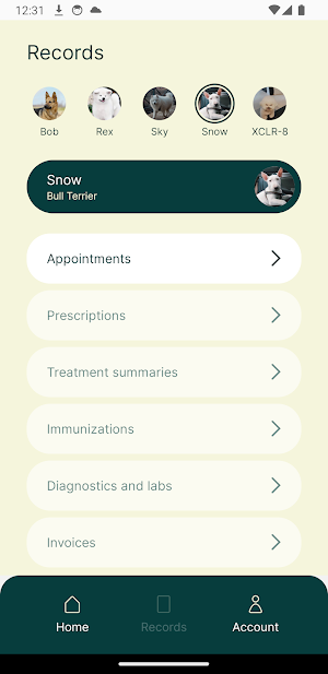 AprilVets Screenshot 1