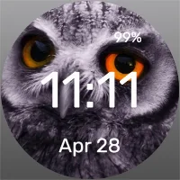 Owl - Watch Face
