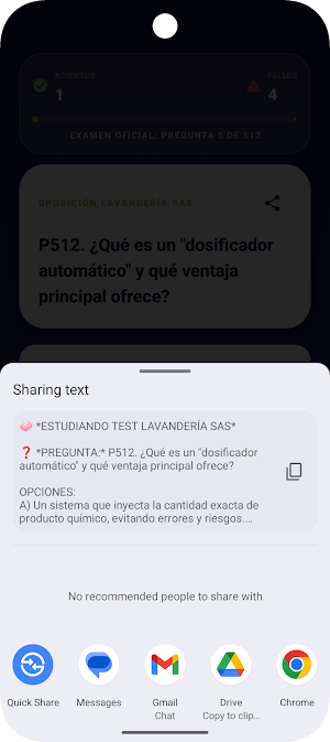 Test Lavandería SAS Screenshot 2
