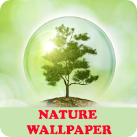 Nature Wallpapers HD