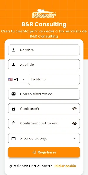 B&R Consulting Screenshot 2