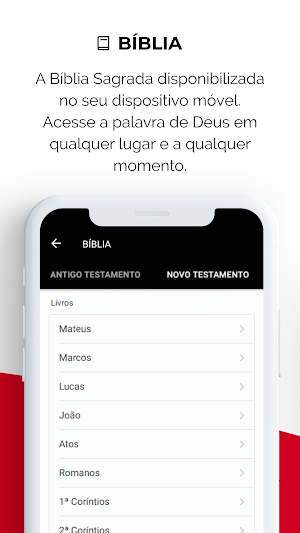 ADVEC Screenshot 2