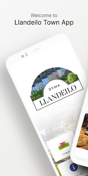 Llandeilo Town Screenshot 0