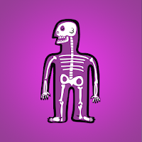 Cool Facts About Human Body