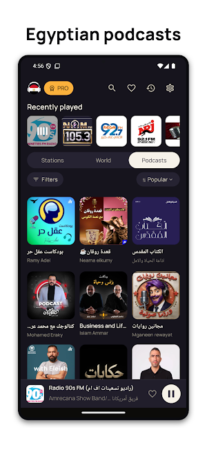 Egypt Radio FM Online Screenshot 2