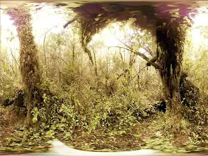 VR-Los bosques cuentan su historia Screenshot 0