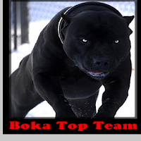 Boka Top Team