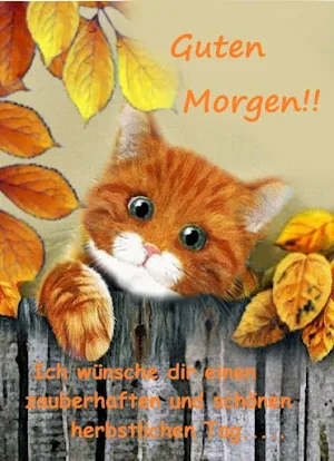 Guten Morgen,Abend Gute Nacht Screenshot 1