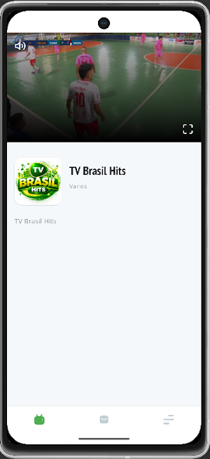 TV Brasil Hits Screenshot 1