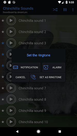 Chinchilla sounds ~ Sboard.pro Screenshot 2