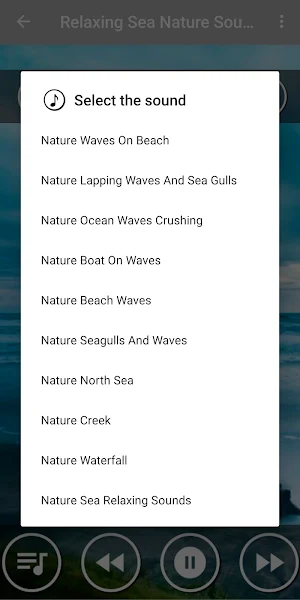 Calming Sea Sounds - Ocean Sounds Screenshot 1