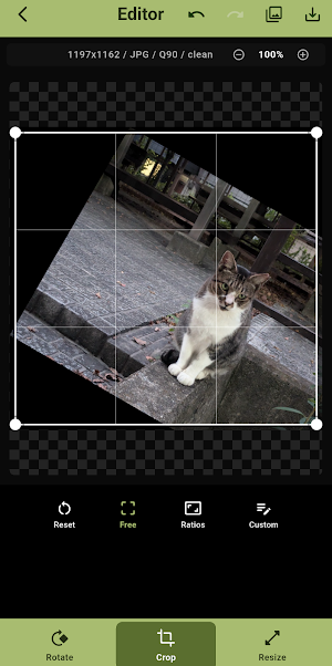 写真リサイズPlus 〜画像のサイズ変更・拡大・縮小・回転〜 Screenshot 1