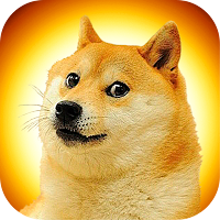 Cute Dog Stickers for WhatsApp