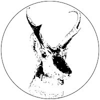 Mammal Diversity