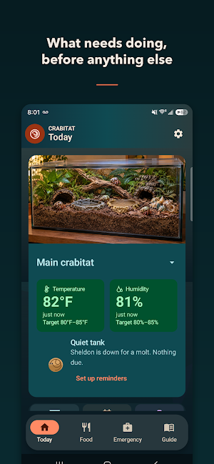 Crabitat: Hermit Crab Care Screenshot 0
