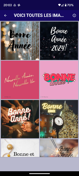 Bonne Année Félicitations Screenshot 1
