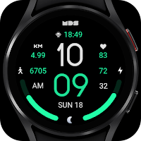 MDS422 Digital Watch Face