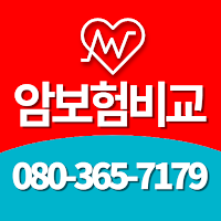 암보험비갱신형