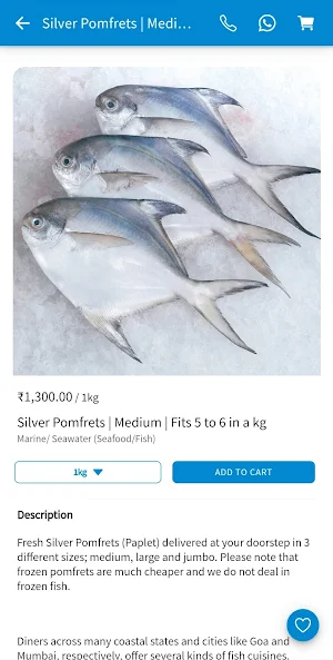 Bombay Fresh Fish Screenshot 3