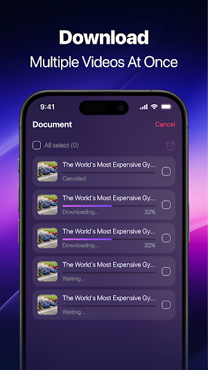 EasyDown Screenshot 2