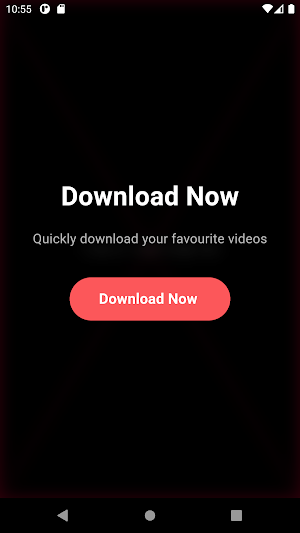 TikTokk Video Downloader Screenshot 2