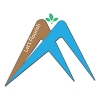 Ankhi Financial