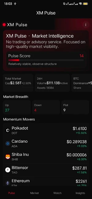 XM Pulse Screenshot 3